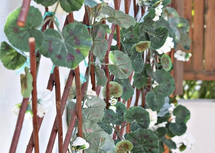 Sun Lindos 3* 拉多斯