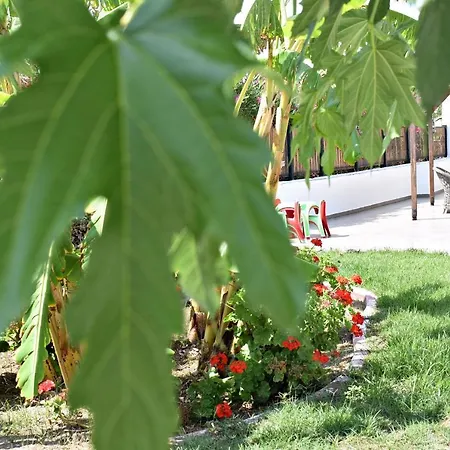 Sun Lindos 3* Λάρδος