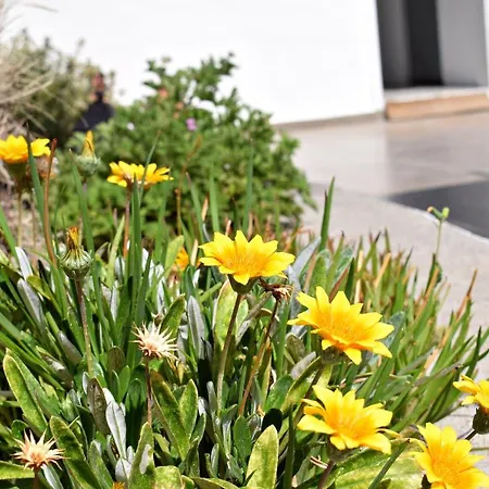 Sun Lindos Hotel Lardos