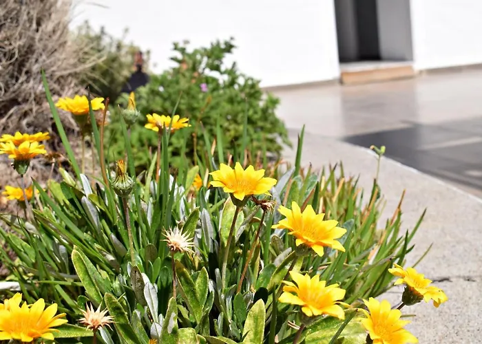 Sun Lindos فندق لاردوس